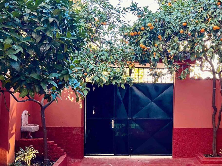Zarlett House, Pazari Ri ,Villa With Garden,Parking Tirana Buitenkant foto